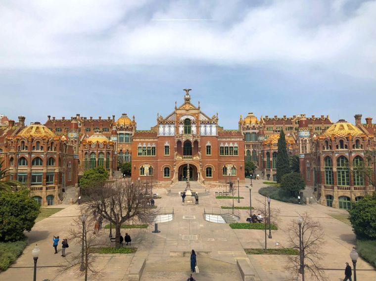 BCN Curious 4
